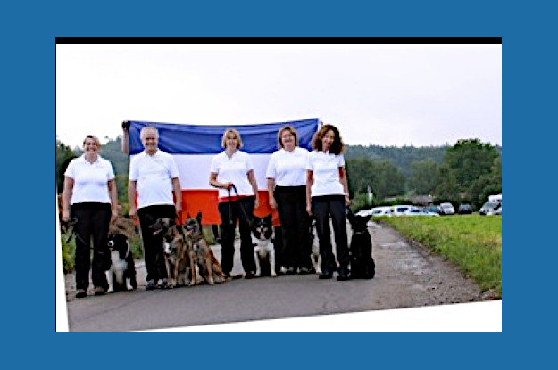 Hund mit Siegerrosette