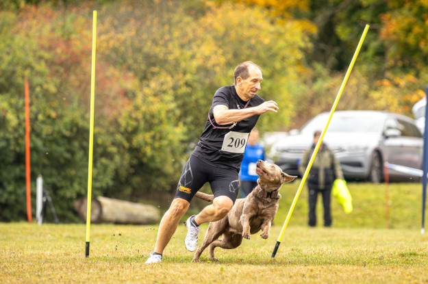 Bericht VDH Meisterschaft THS 2025