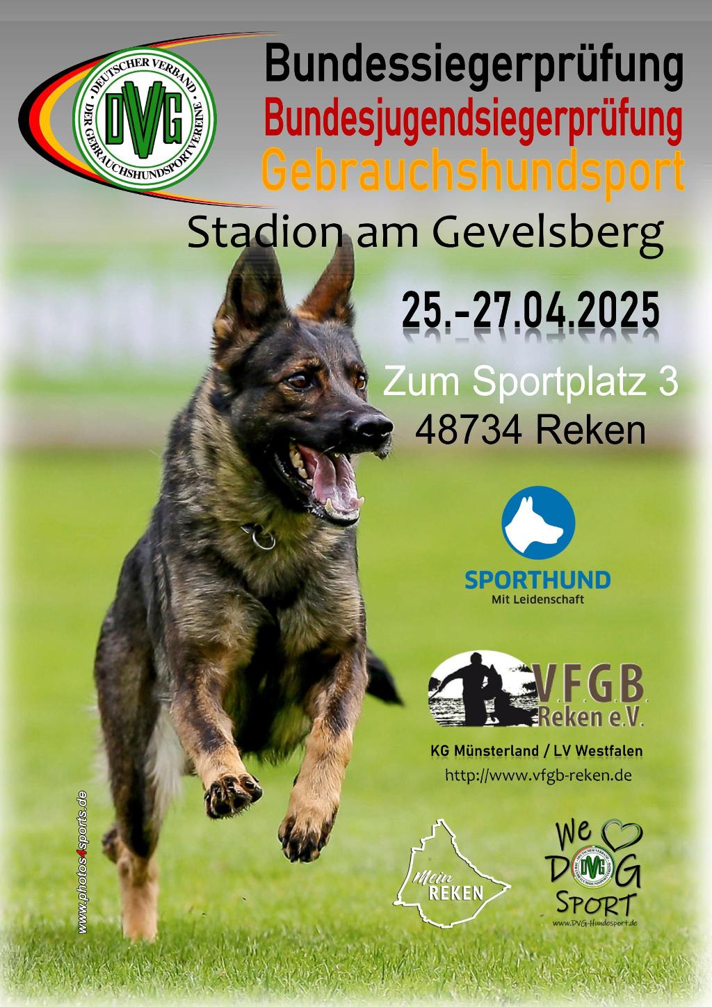 plakat dvg bsp ghs 2025