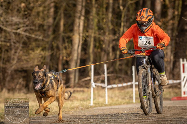 Bundessiegerprüfung THS 2026