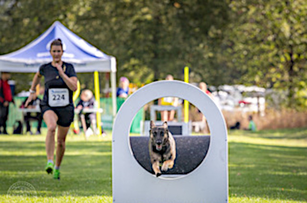 Bundessiegerprüfung Turnierhundsport 2026