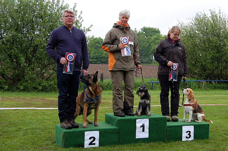 Klasse 1  Landesmeisterin Susanne Lenz mit Würfel von Charlys Meute SHV Todtglüsingen Platz 2 Herbert Mangelsen mit Forest vom Böxenwolf HSC Hanseat Lübeck Platz 3 Carolin Bruhn mit Caja SGV Heiligenhafen