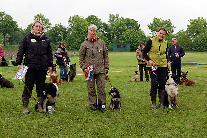 Die Erstplazierten aller Klassen