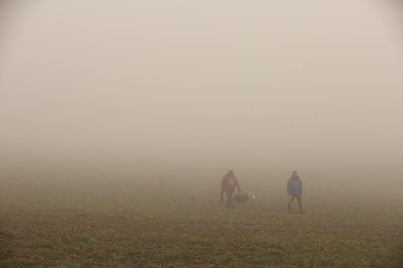 Fährtensuche im Nebel