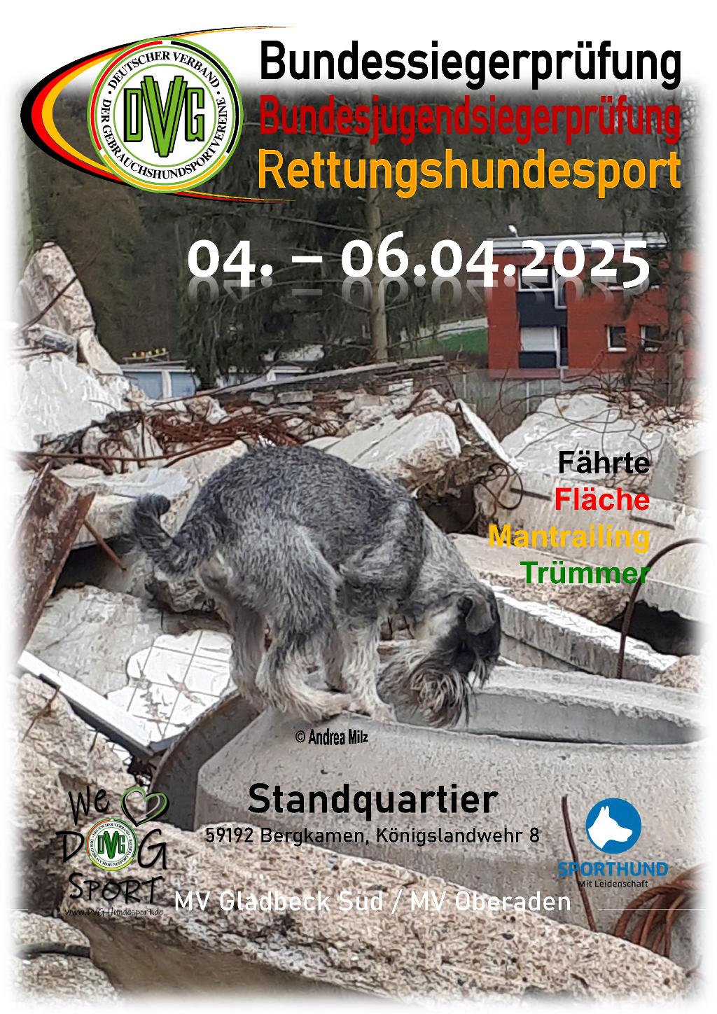 plakat dvg bsp rh 2025 2025 12 02