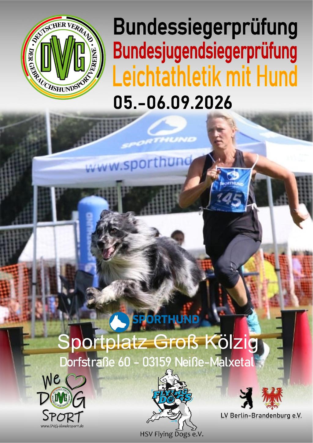 plakat dvg bsp ths 2026