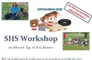 SHS_PHV_workshop.jpg