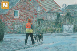 Logo für Mantrailing